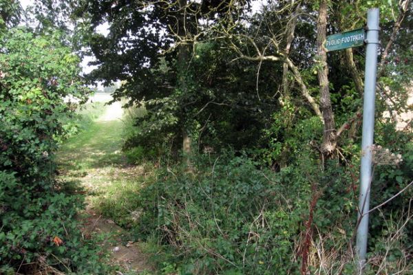enclosed path through a copse near Ravensden